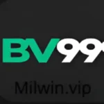 BV999 Game