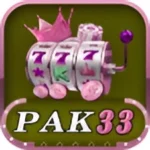 Pak33 Game