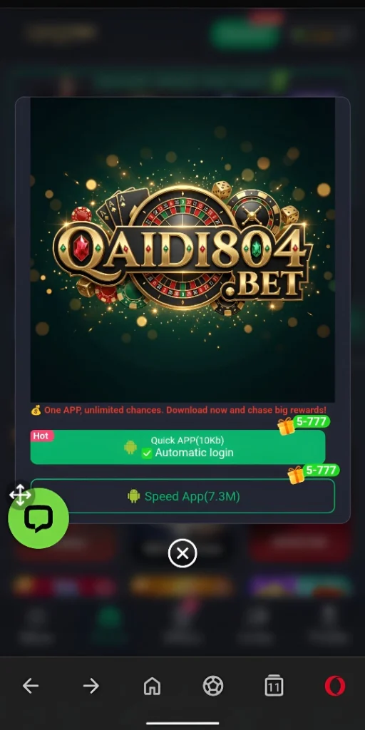 Qaidi804 Game