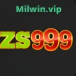 ZS999 Game