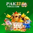 Pak33 Game