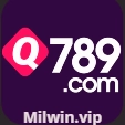 Q789 Game